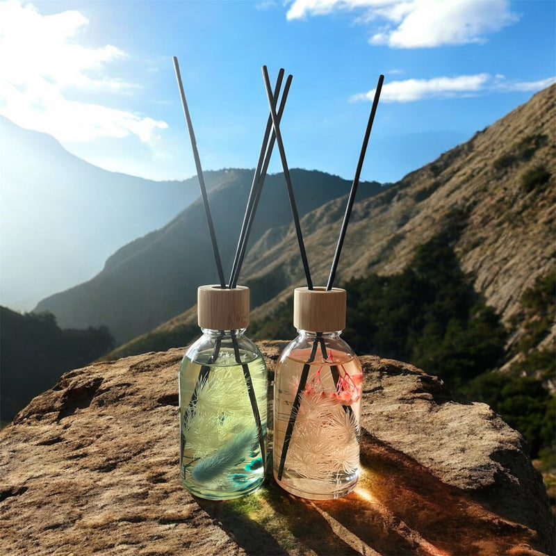 Signature - Reed Diffuser